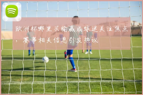 欧洲杯哪里买输赢成球迷关注焦点，赛事相关信息引发热议