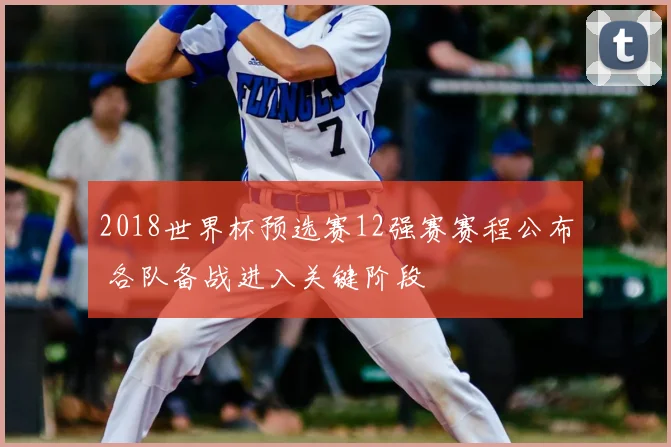 2018世界杯预选赛12强赛赛程公布 各队备战进入关键阶段