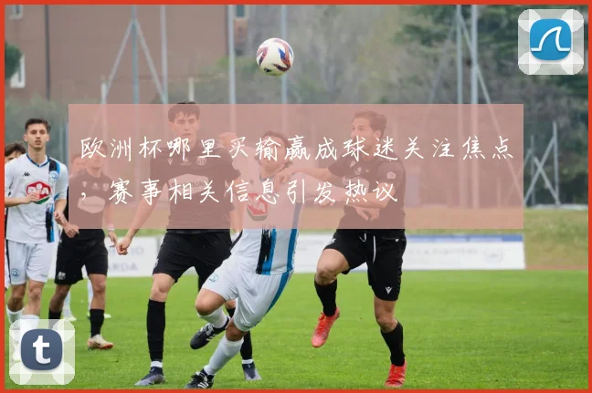 欧洲杯哪里买输赢成球迷关注焦点,赛事相关信息引发热议