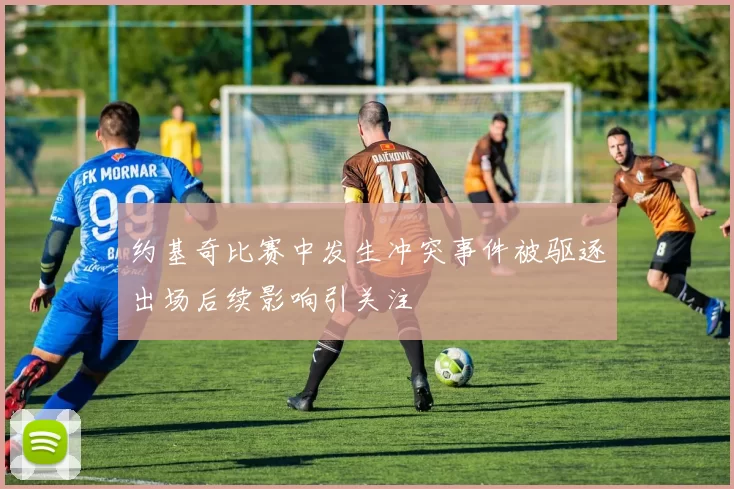 约基奇比赛中发生冲突事件被驱逐出场后续影响引关注