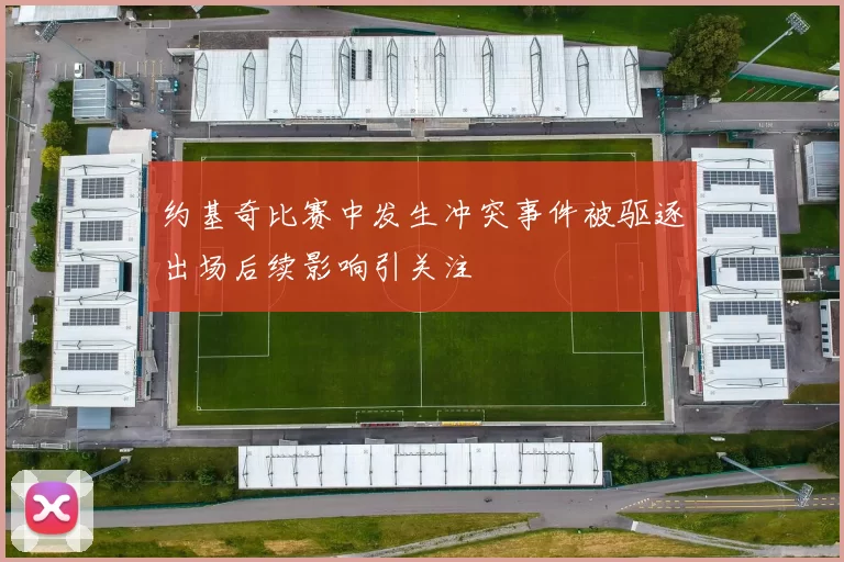 约基奇比赛中发生冲突事件被驱逐出场后续影响引关注